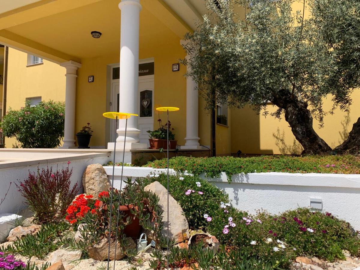 Villa Istriana Ližnjan Zewnętrze zdjęcie